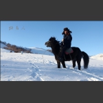 雪域风情----坝上