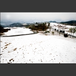 雪色世界