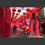 过年啦！祝各位老师、朋友新年快乐！