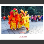 恭贺新禧