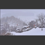 雪村正月