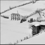 雪村正月