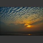 曦
