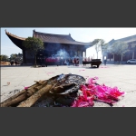禅心