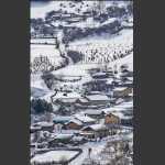 雪村正月