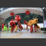 接狮