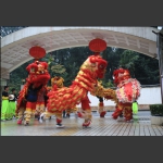 接狮
