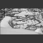 雪村正月