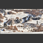 雪村正月