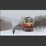 一位乘客的山区小站