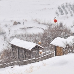 雪村正月