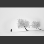 关东雪国老秃顶