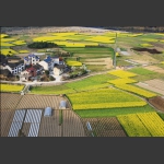 大地调色板