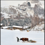 雪村正月