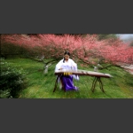 梅园古筝美曲