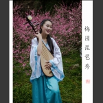 梅园倩影