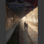 晨读