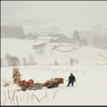 雪村正月