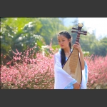 琴与美女五