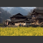 赶集归来