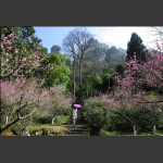 春染黄石寨