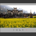 乡村春早