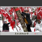 系祈福红绸带
