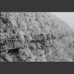 初春观雪景