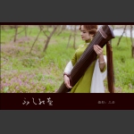 不与红尘1