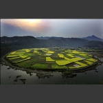 大地调色板