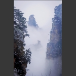 云雾山中