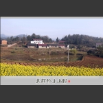 美丽的小山村