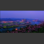 夜魅