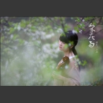梨花雨3