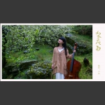 梨花雨1