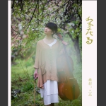 梨花雨4