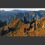 天子山艳秋