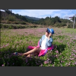 花中花