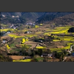 南山梯田
