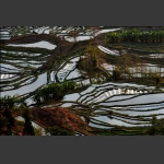 梯 田