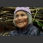 苍桑