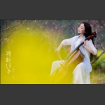 缠绵往事2