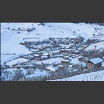 雪村正月