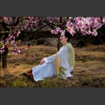 桃花仙子2