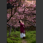 桃花仙子3