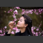 桃花仙子4