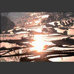 梯田３