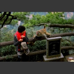 猴哥别生气！