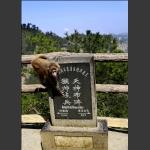 猴帅点兵
