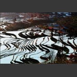 梯 田6